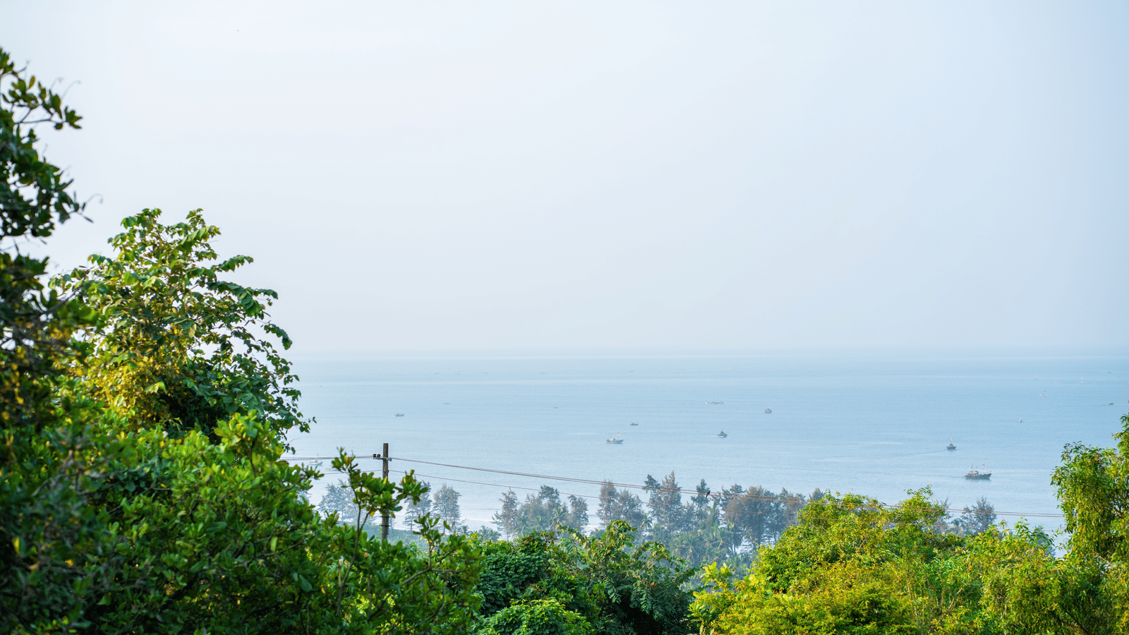 Trees and shrubs in the foreground with a view of the sea extending to the horizon in the background, under a pale sky.