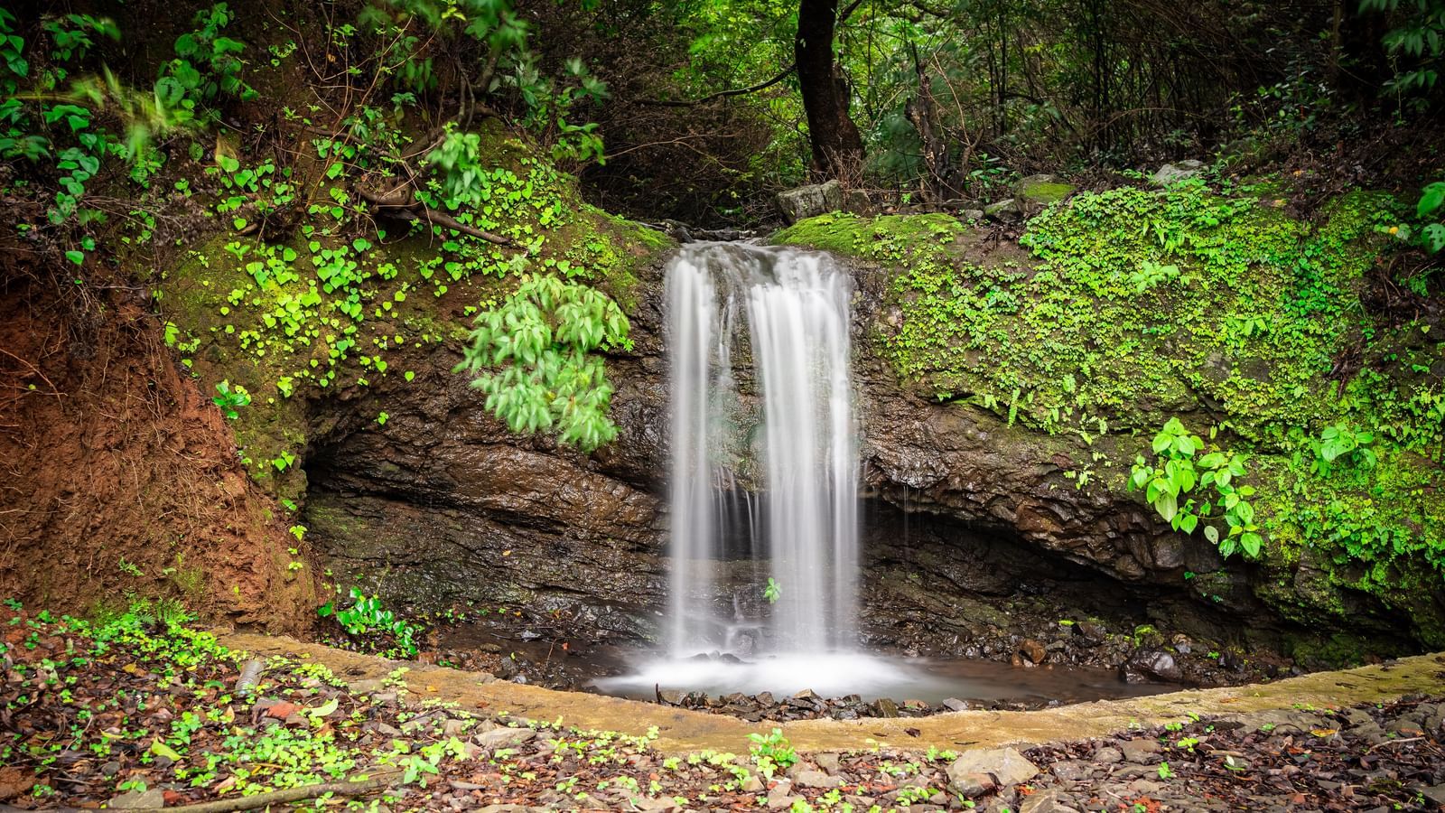 A waterfall flowing down a rocky cliff face and into a clear pool surrounded by green ferns - Tranquil Piedmont Estates & Resort
