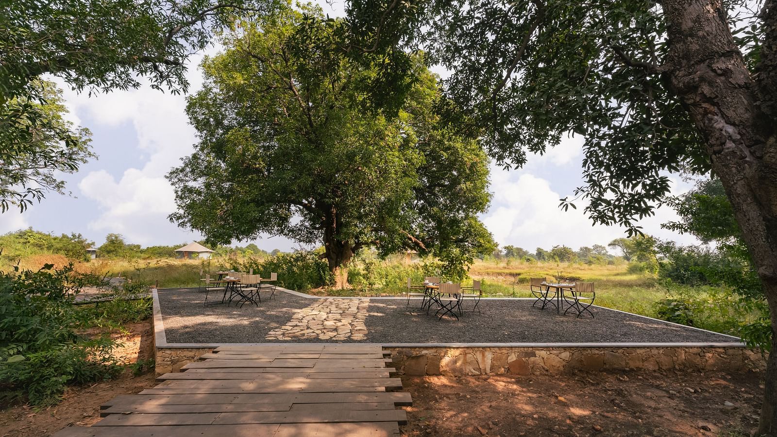 An open area with grass and trees during daytime at Trees N Tigers, Tadoba.