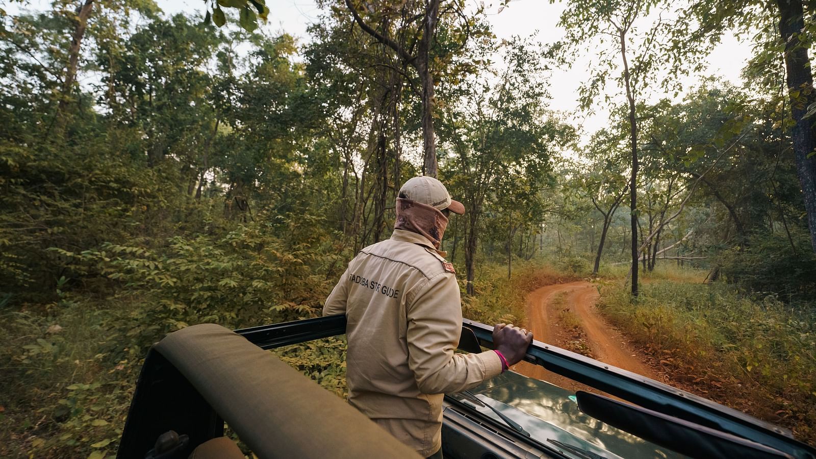 A view from the jeep of a guide standing up on the jeep Safari - Trees N Tigers, Tadoba.