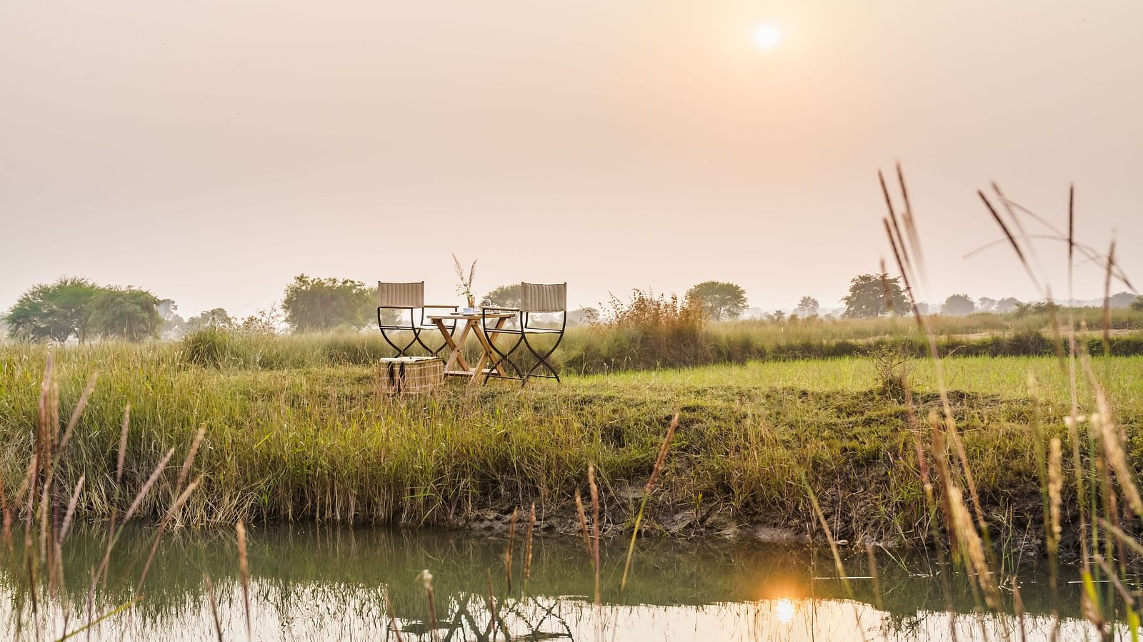 A small pond with greenery on the bank at Trees N Tigers, Tadoba.