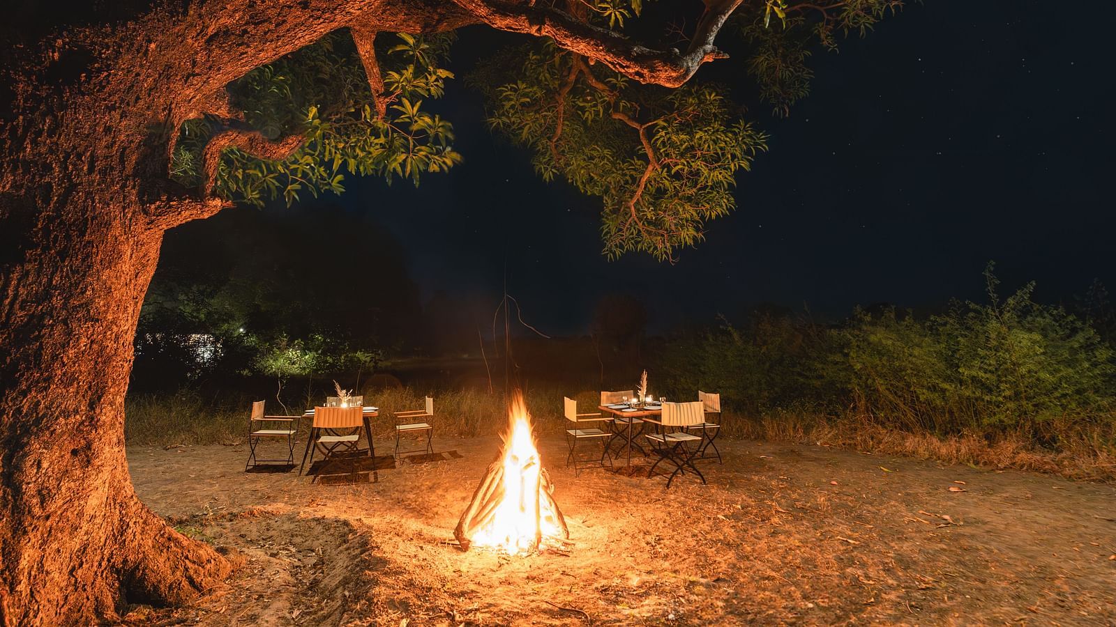 A bonfire in the middle of jungle at Trees N Tigers, Tadoba.