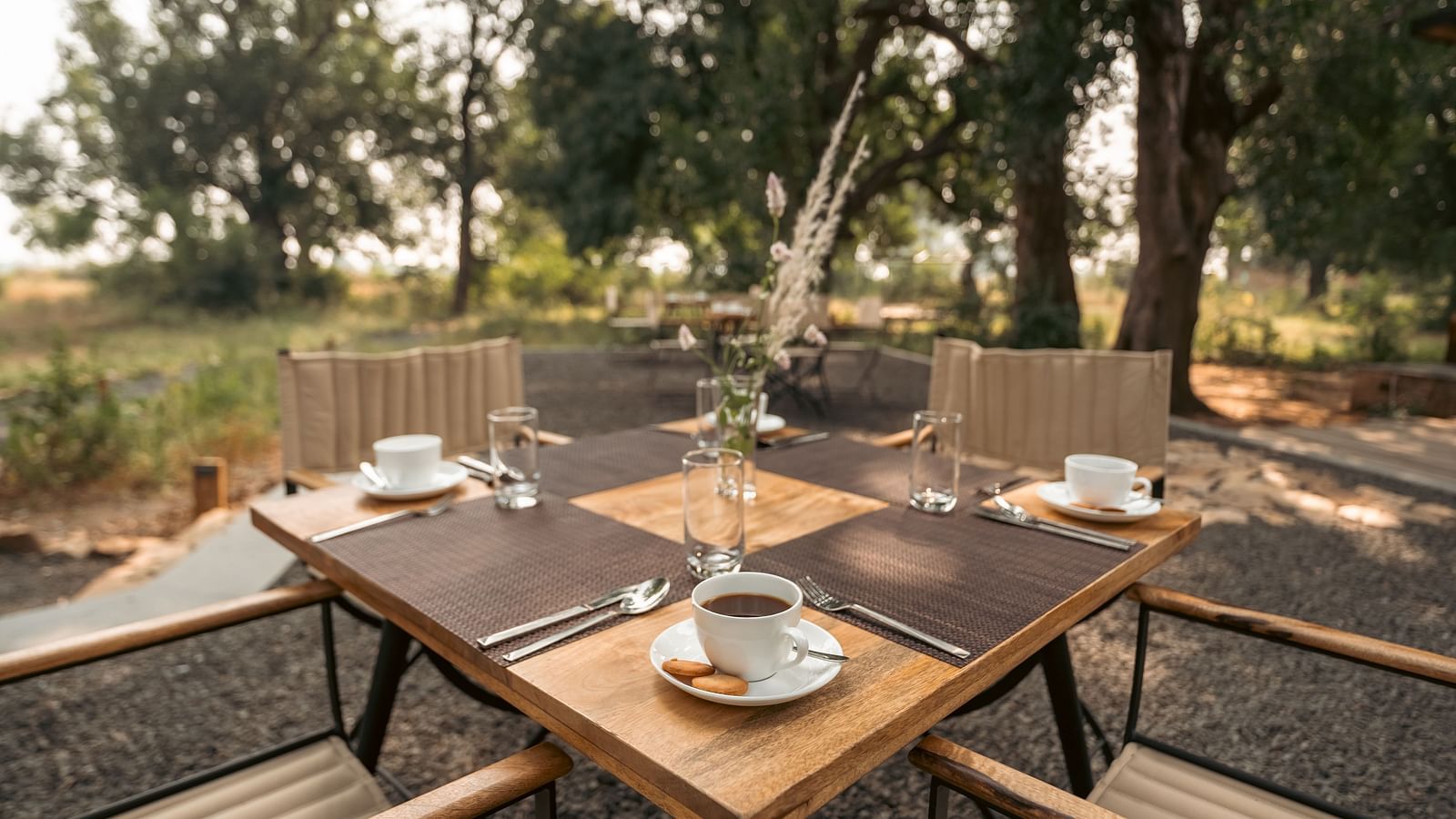 Image of a coffee setup between the jungle at Trees N Tigers, Tadoba.