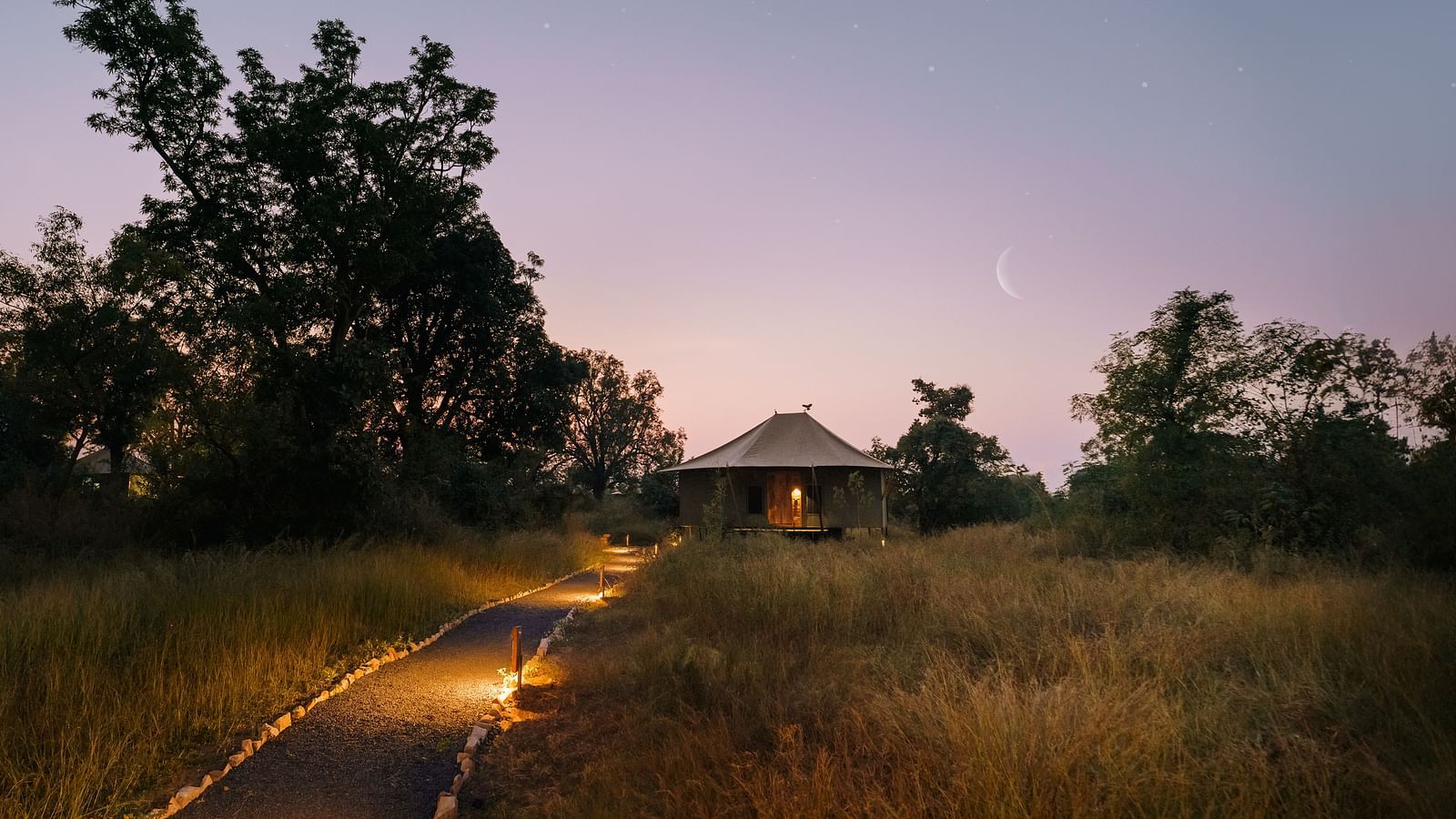 View of a hut amongst greenery in the evening at Trees N Tigers, Tadoba.