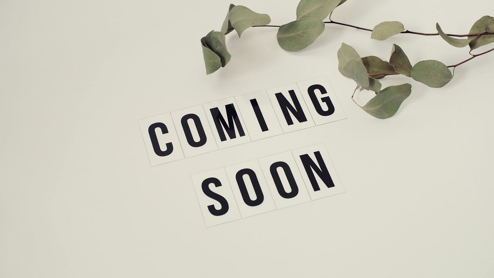 The words COMING SOON are displayed prominently on a neutral surface, accompanied by a leafy branch.