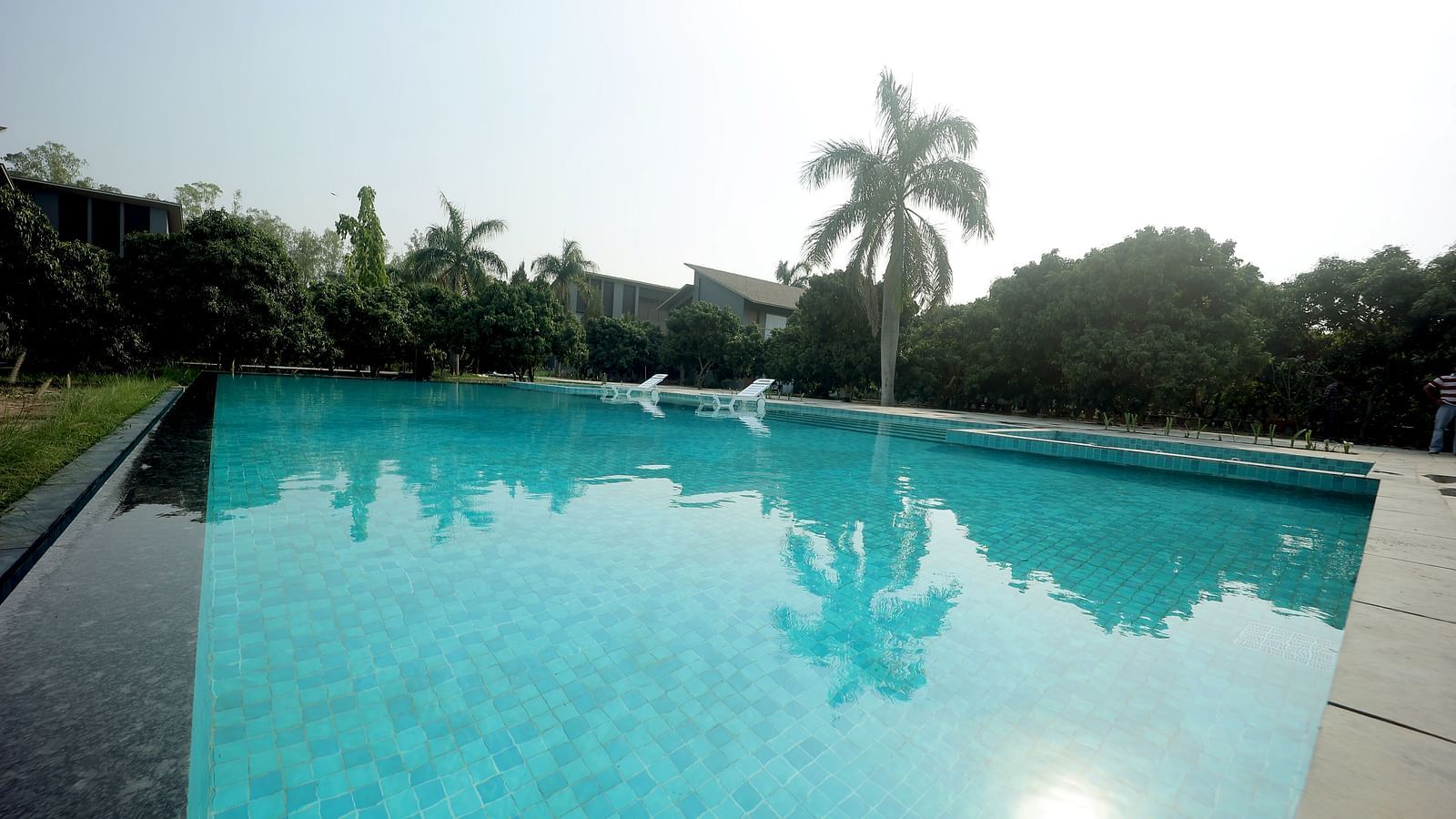 Outdoor swimming pool surrounded by palm trees and tropical greenery under clear skies at Wyndham Garden.