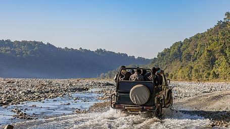 pexels-shantumsingh-29666809