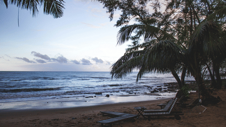 A secluded Nha Trang Beach (Nha Trang) with coconut trees and a twilight sky in view.