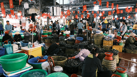An overview of the Vinh Hai Market in Nha Trang with numerous people selling and buying different types of fish.