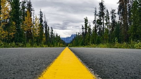 A close up of a highway from the centre with trees on either side of the road.