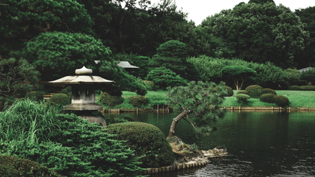 A view of a Japanese Garden with numerous trees, a lawn area, a waterbody, a shrine, and a small canopy in the distance.