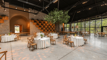 pexels-bertellifotografia-17057042