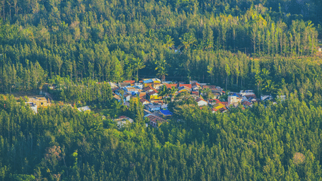 A small settlement surrounded by dense green forest, captured from an aerial perspective.