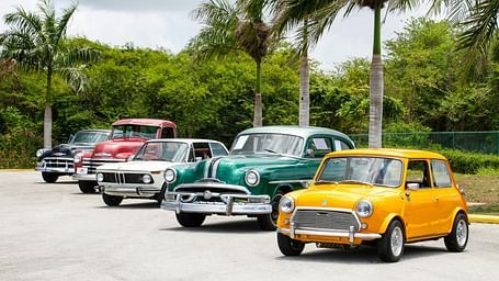 Row of vintage cars, including a yellow Mini, parked in a scenic outdoor area with palm trees in the background.