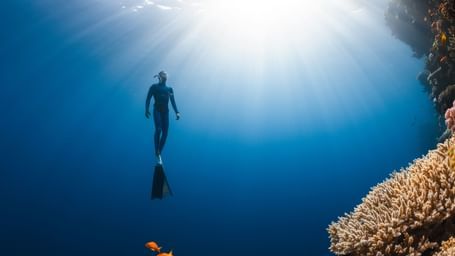 A diver swimming towards the ocean surface in a sunlit underwater scene