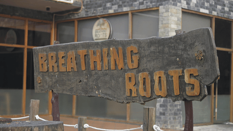 Weathered wooden signboard reading 'Breathing Roots' in carved orange lettering, mounted on rustic posts with rope railing outside a stone-clad building.