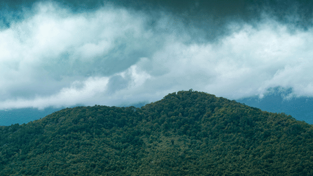 Dense evergreen forest covering a mountain peak that disappears into heavy, low-hanging white clouds and a moody, overcast sky.