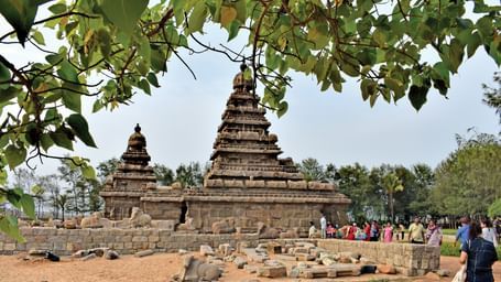 View of a historic temple with detailed carvings seen from the shade of a tree