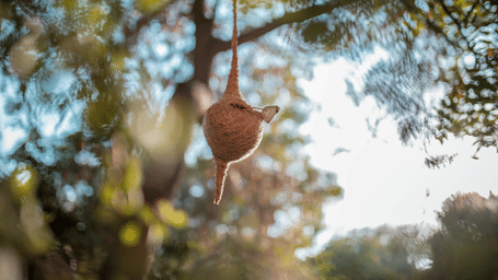 A finely woven bird nest hanging gracefully from a tree branch in the greenery at Karma Chalets.