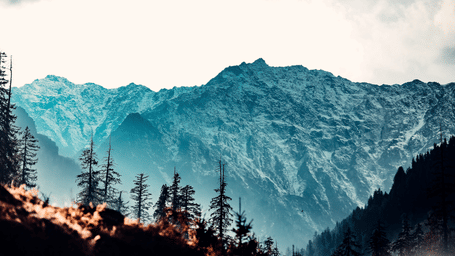 Icy mountain peak featuring a forest of trees in the foreground.