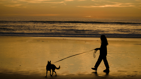 Person walking a dog along the beach during sunset.