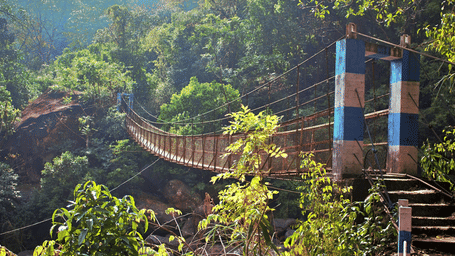 A long wooden suspension bridge over a river, surrounded by dense jungle vegetation in Meghalaya, India.