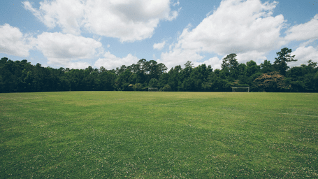 A vast, open green field stretches out towards a dense line of trees under a bright sky with white clouds.