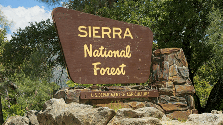 A huge wooden board that reads 'Sierra National Forest', surrounded by fine forests during the day.