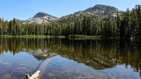 A view of  a lake with the reflection of a nearby mountain surrounded by trees.