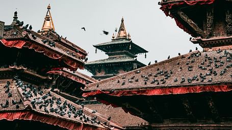 section of Kathmandu Durbar Square in Nepal, featuring traditional Newari architecture with tiered red roofs heavily populated by pigeons.