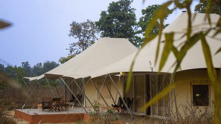 2 large canvas safari tents nestled together in an open field surrounded by green trees - Umaria Safari Camp