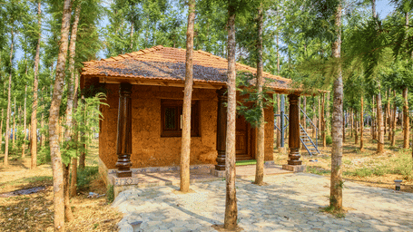 A small, rustic wooden cabin with a tiled roof and a covered porch, situated amongst tall, slender trees with a pathway leading to it. - Vintage Trails by Ilara