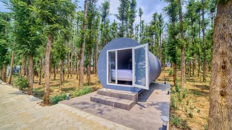 A modern, grey, capsule-shaped accommodation unit with its entrance open, revealing a glimpse of the interior, situated among tall trees with a pathway leading up to it. - Vintage Trails by Ilara