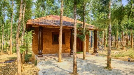 A small, rustic wooden cabin with a tiled roof and a covered porch, situated amongst tall, slender trees with a pathway leading to it. - Vintage Trails by Ilara