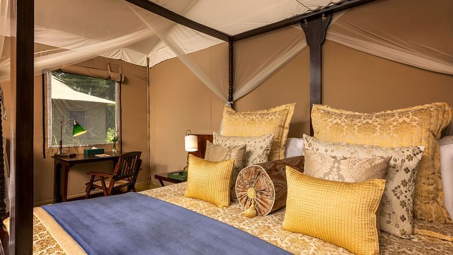 luxury king tents with a bed made out of colonial style - Aalia Jungle Resort & Spa