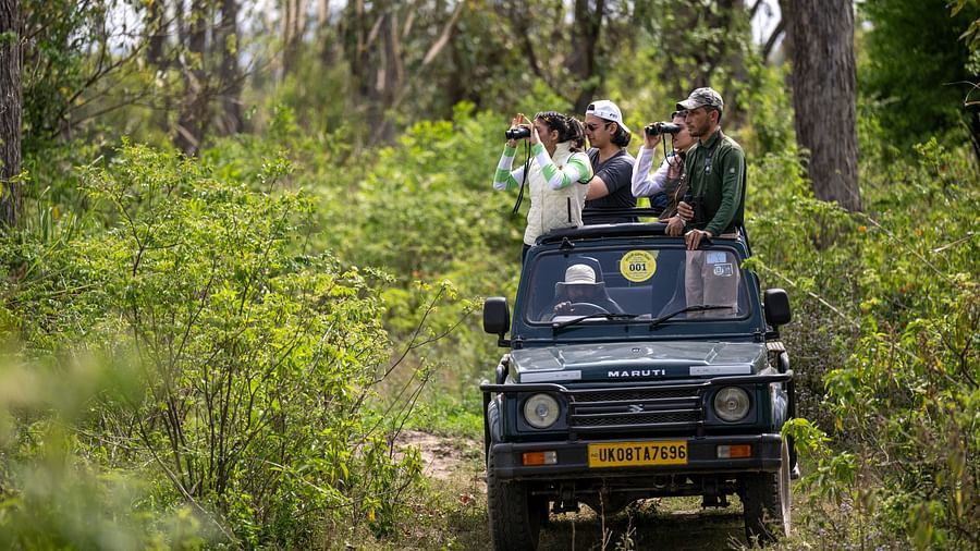 People watching the fauna through binoculars during a safari - Aalia Jungle Resort & Spa