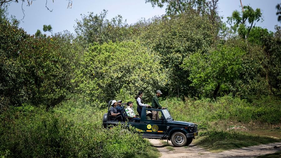 A car driving through lush greenery during a safari near Haridwar - Aalia Jungle Resort & Spa