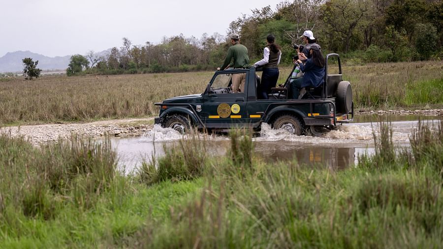 Guest enjoying a drive through dry grass lands during a safari at Rajaji National Park - Aalia Jungle Resort & Spa