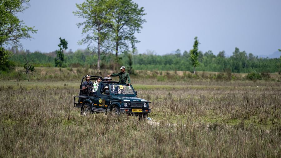 A car driving through dry grass lands during a safari at Rajaji National Park - Aalia Jungle Resort & Spa