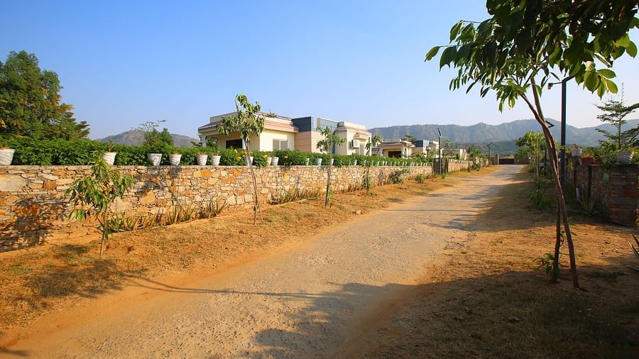 Roadway leading to the villa stay rooms at Aanandam Resort & Spa, lined with trees and plants on the side, under a clear and bright sky