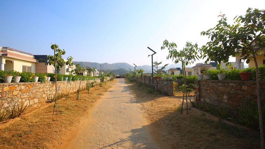 Roadway leading to the villa stay rooms at Aanandam Resort & Spa, lined with trees and plants on the side, under a clear and bright sky