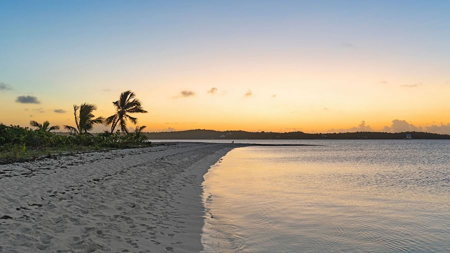 A sandy shoreline with gentle waves and palm trees, captured at sunset as the golden light reflects on the wet sand | Abaco Inn