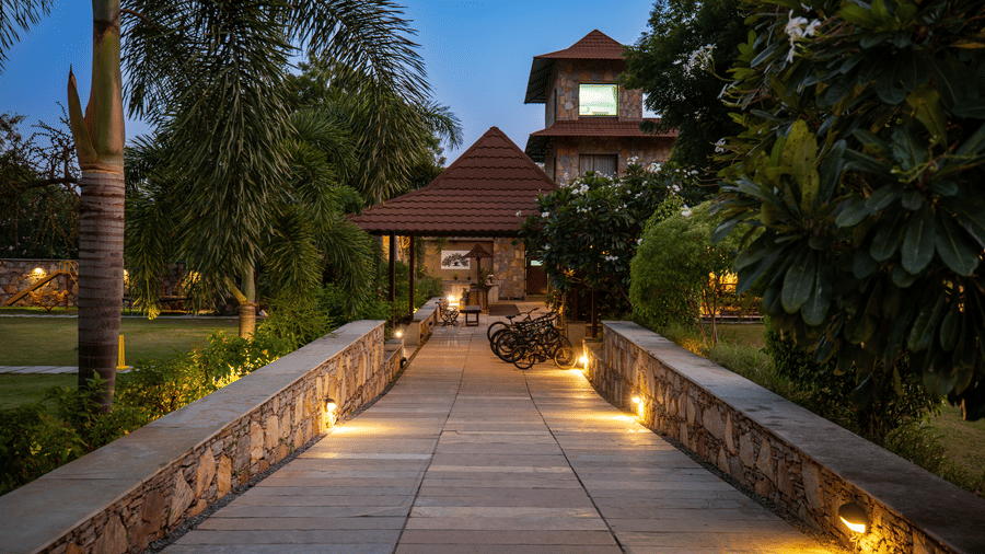 A stone path with integrated lighting leading towards a resort building flanked by palm trees | Anandam Jungle Retreat Resort, Udaipur