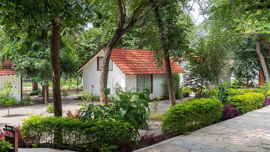 image of a villa being featured at our resort in udaipur with lush green trees surrounding it