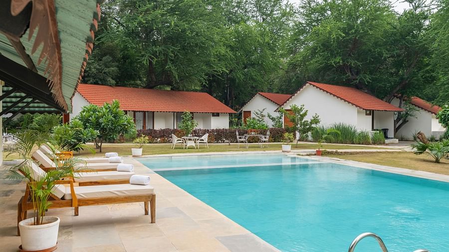 image of the swimming pool in the middle of the villas at aranya vilas with white coloured sun loungers besides the pool