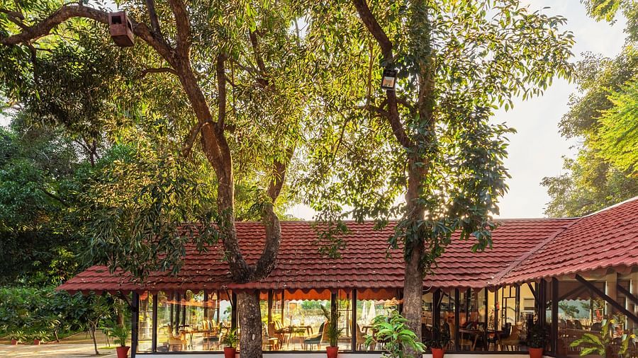 a beautiful facade image of aranya villas in a bright morning with the sunlighting falling on the tree giving a bright foliage