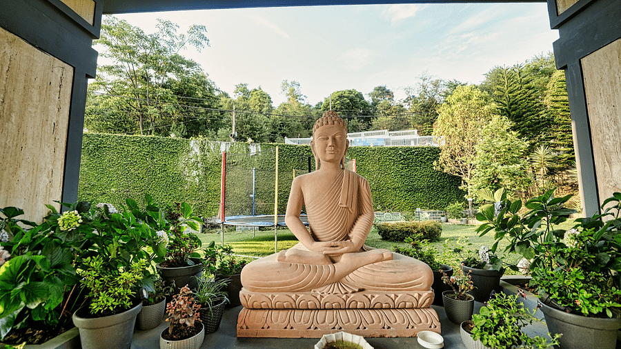 A picture of a statue placed at the centre, captured in the day light and surrounded with few plants.