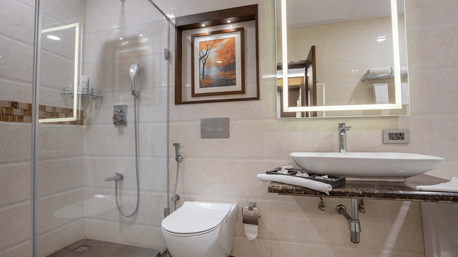 deluxe room washroom 