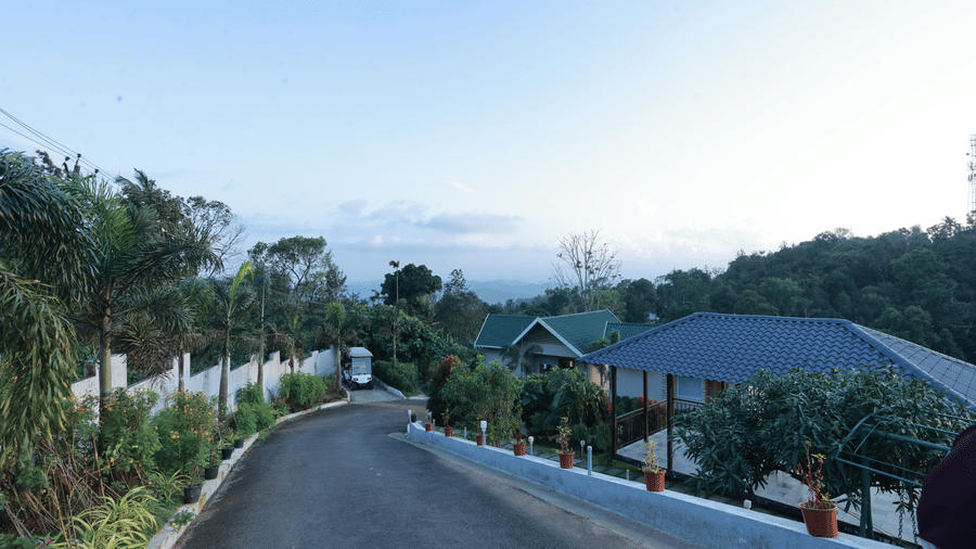 A roadway with a villa on one side and a jungle with thick green vegetation on the other side, at Aveda Mountains and Mist Resort and Spa, Munnar.