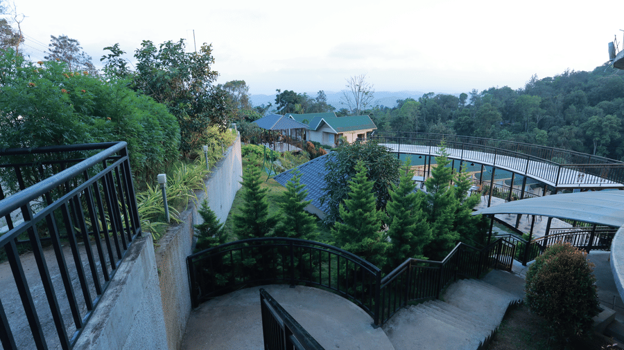 A concrete staircase leading towards the lawn area downstairs at Aveda Mountains and Mist Resort and Spa, Munnar, surrounded by lush green trees.